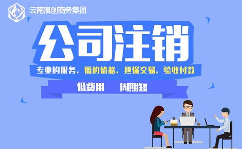 云南滇创商务 昆明专业公司注销代办与软件开发服务