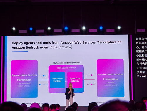 企业级软件商店 亚马逊云科技引领软件开发新趋势