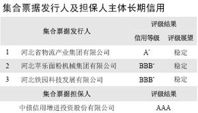 石家庄2012年第一期中小企业集合票据AAA信用评级 专业服务助力企业融资与发展